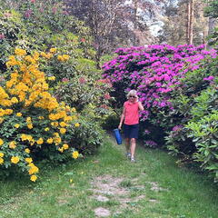 23-06-03 17-11-49 5819